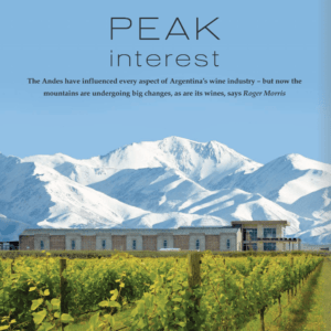 Peak interest | The andes have influenced every aspect of Argentina´s wine industry