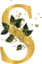Decor S